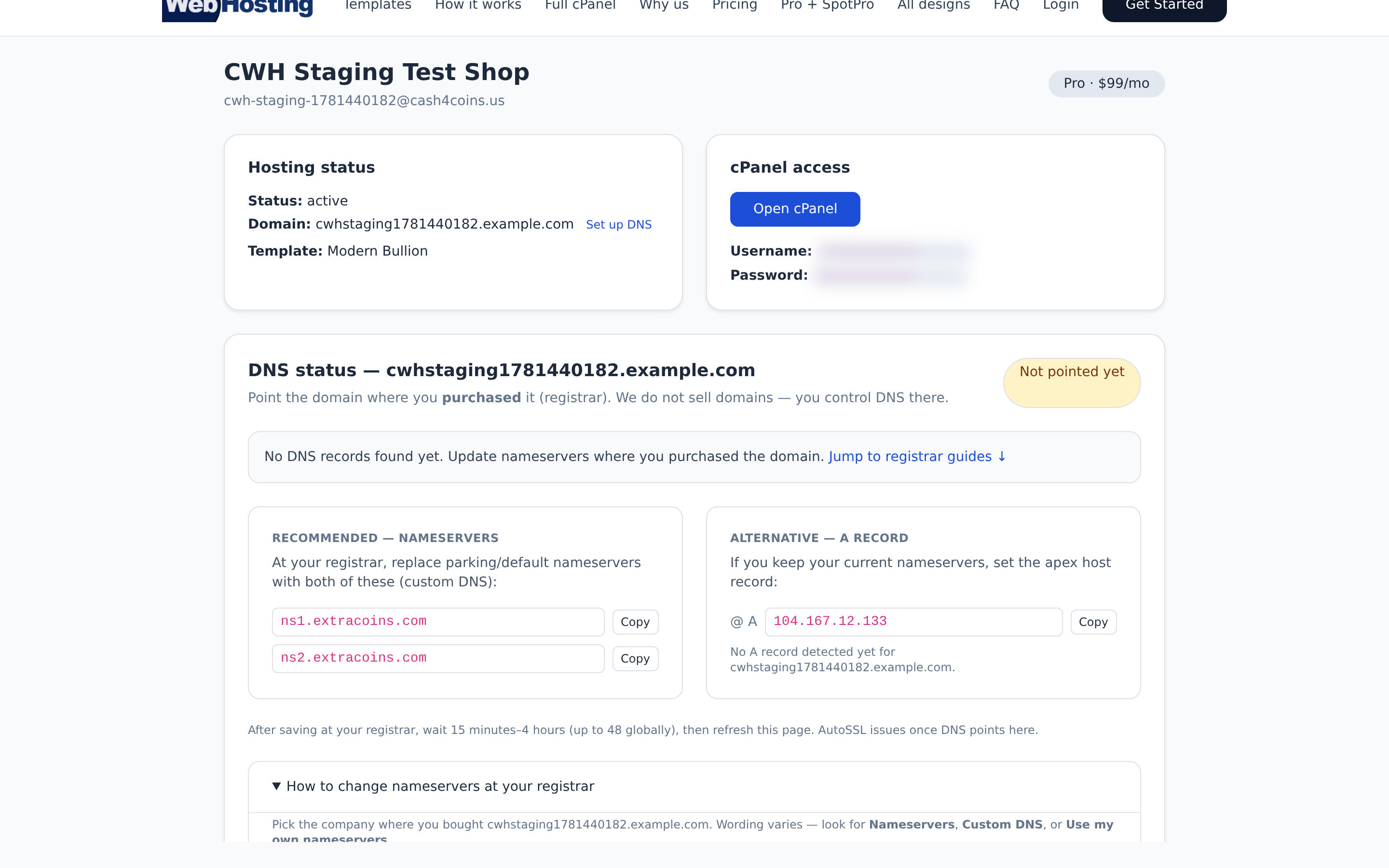 CoinWebHosting portal dashboard with DNS status and cPanel login