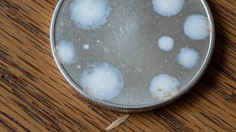 Silver coin with milk spots