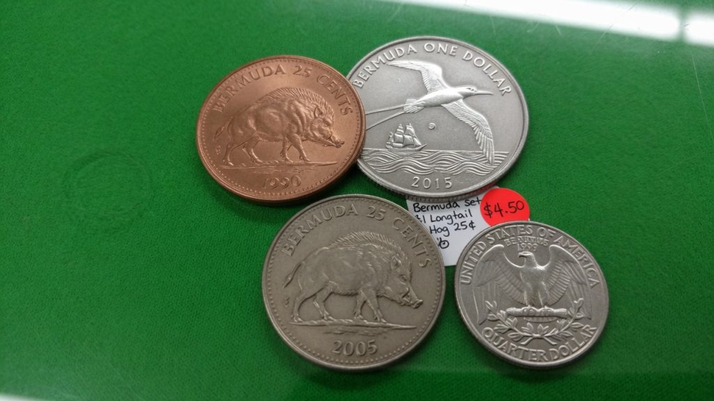 Bermuda hog 25-cent coins and a longtail one-dollar coin beside a US quarter
